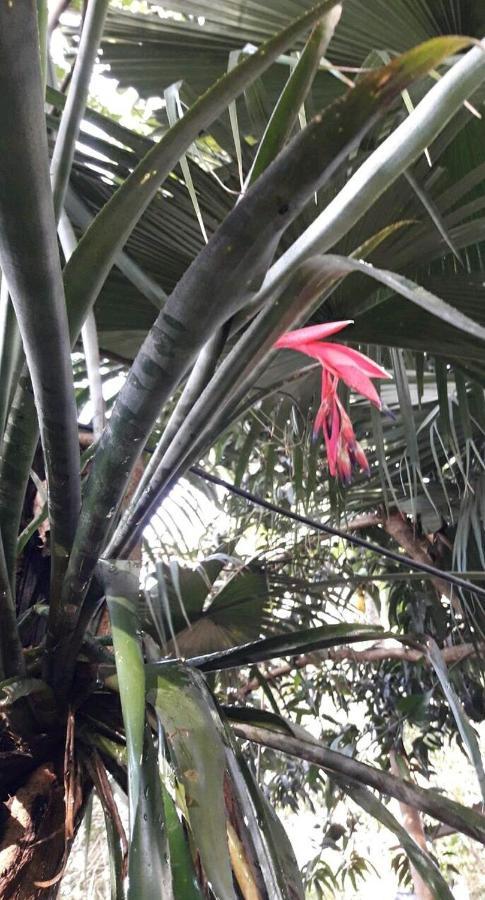 Apartmán Jardin De Naipi 2 Puerto Iguazú Exteriér fotografie