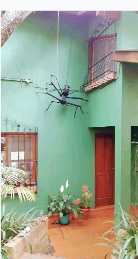 Apartmán Jardin De Naipi 2 Puerto Iguazú Exteriér fotografie