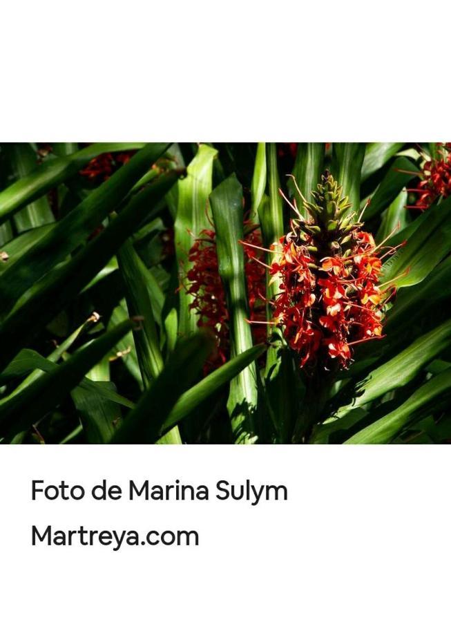 Apartmán Jardin De Naipi 2 Puerto Iguazú Exteriér fotografie