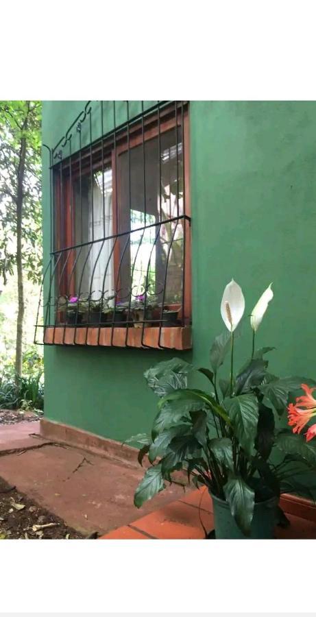Apartmán Jardin De Naipi 2 Puerto Iguazú Exteriér fotografie